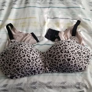 Cheetah print Torrid Bra 44DD
